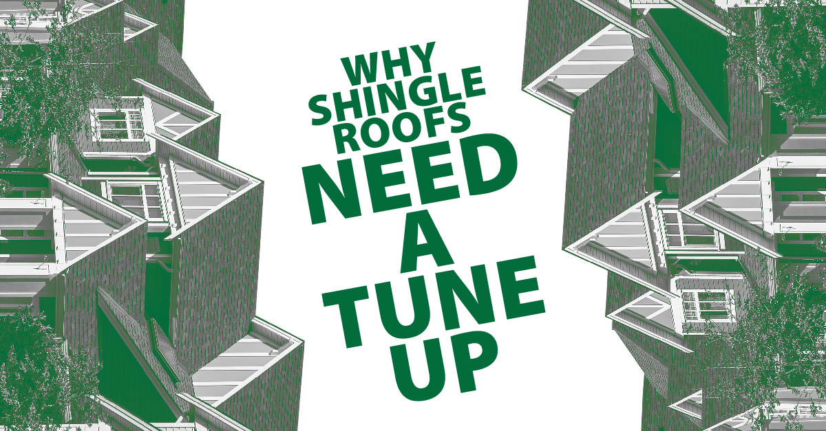 Why Shingle Roofs Need A Tune Up