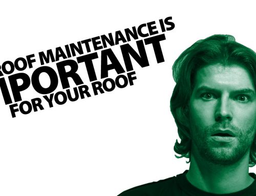 Why Roof Maintenance Is Important For Your Roof